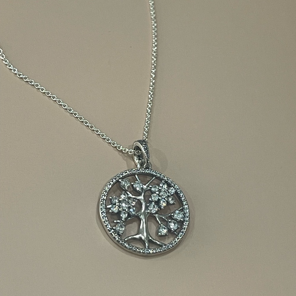 NWOT Pandora Necklace and Earrings Set